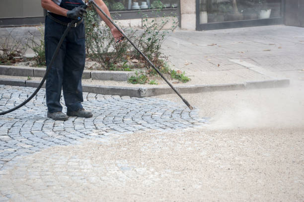 Best Animal Enclosure Cleaning  in West Hammond, NM