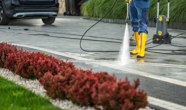 Best Sidewalk and Walkway Cleaning  in West Hammond, NM